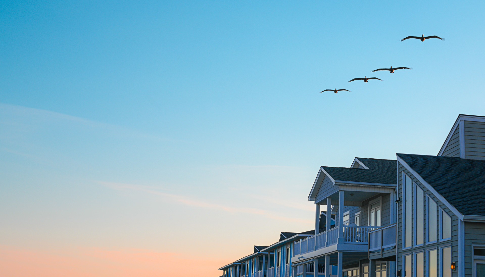 Pelicans and Beach Houses